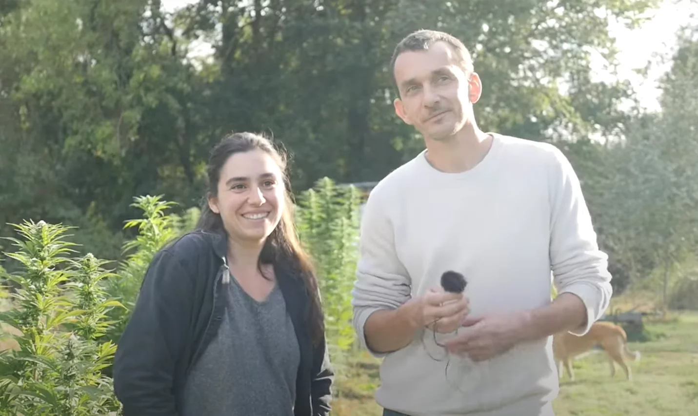 Le projet chanvre de CBD Brocéliande
